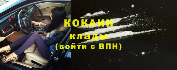 гидра Верея