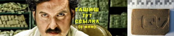 скорость Вяземский