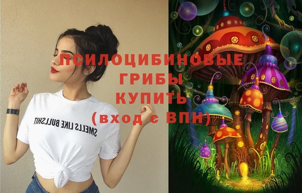 ПСИЛОЦИБИНОВЫЕ ГРИБЫ Волоколамск