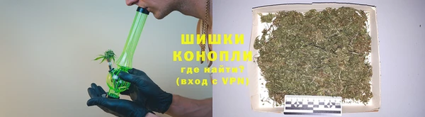 гидра Верея