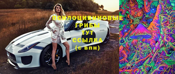 скорость Вяземский