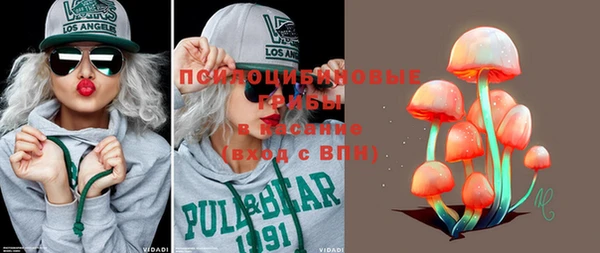 скорость Вяземский