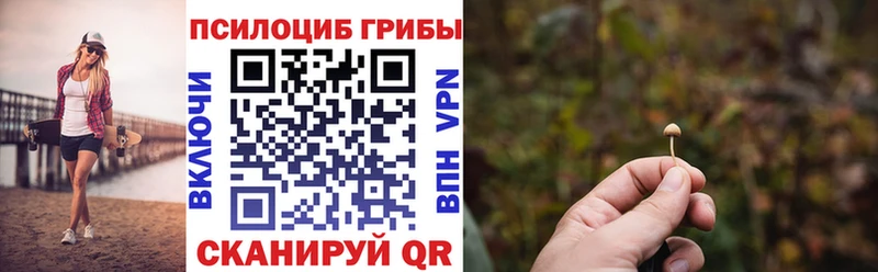 Купить где  Глазов  Псилоцибиновые грибы Psilocybine cubensis 
